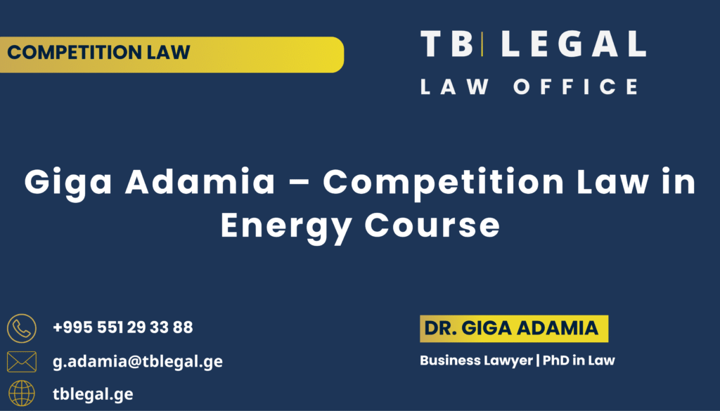 Giga Adamia delivering a competition law course at the Energy Training Center