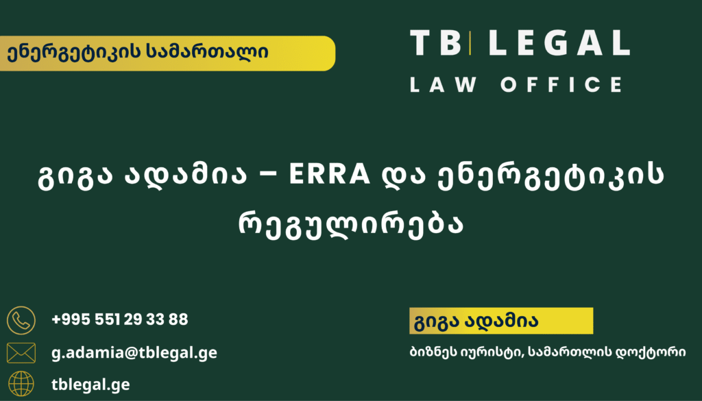 გიგა ადამია Energy Regulators Regional Association-ის საქმიანობის ფარგლებში ბუდაპეშტში