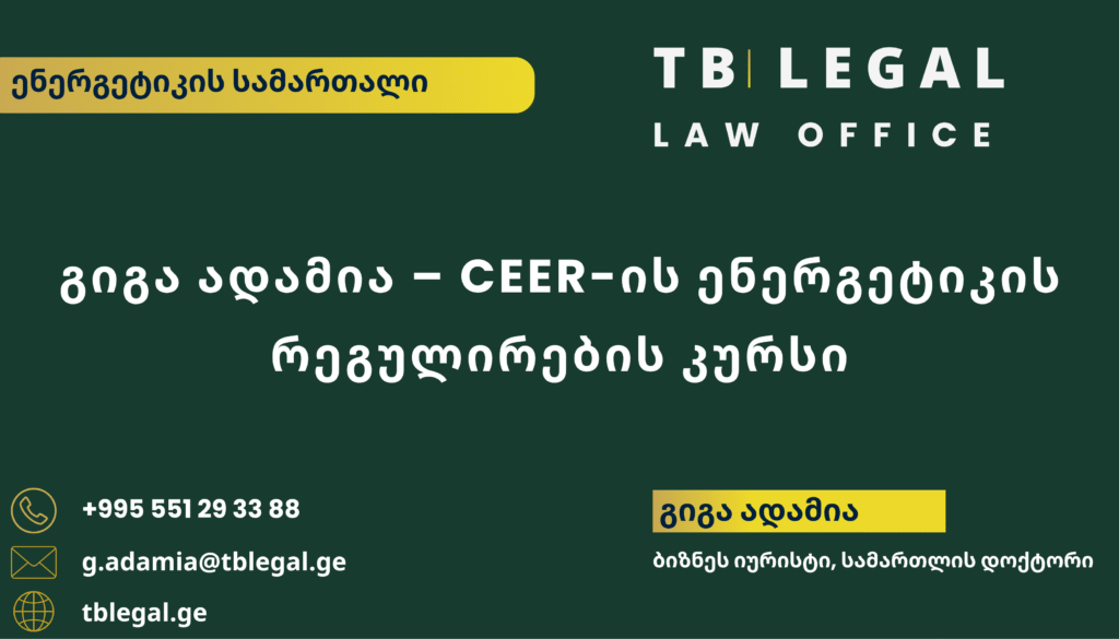 გიგა ადამია CEER-ის ენერგეტიკის რეგულირების სასწავლო კურსზე