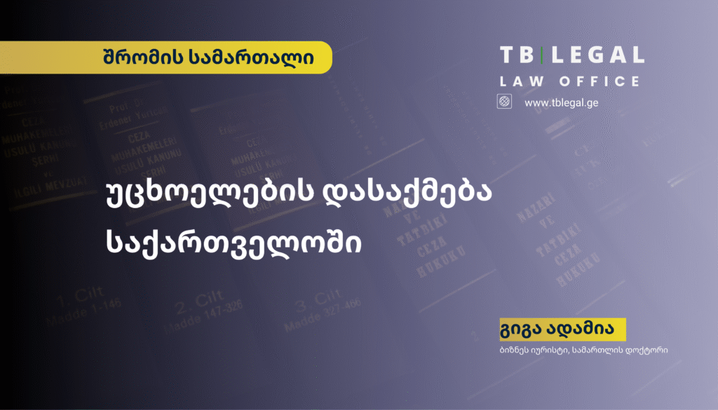 უცხოელების დასაქმება საქართველოში – შრომითი მიგრაციის რეგულაციები და დამსაქმებლის ვალდებულებები | გიგა ადამია, ბიზნეს იურისტი