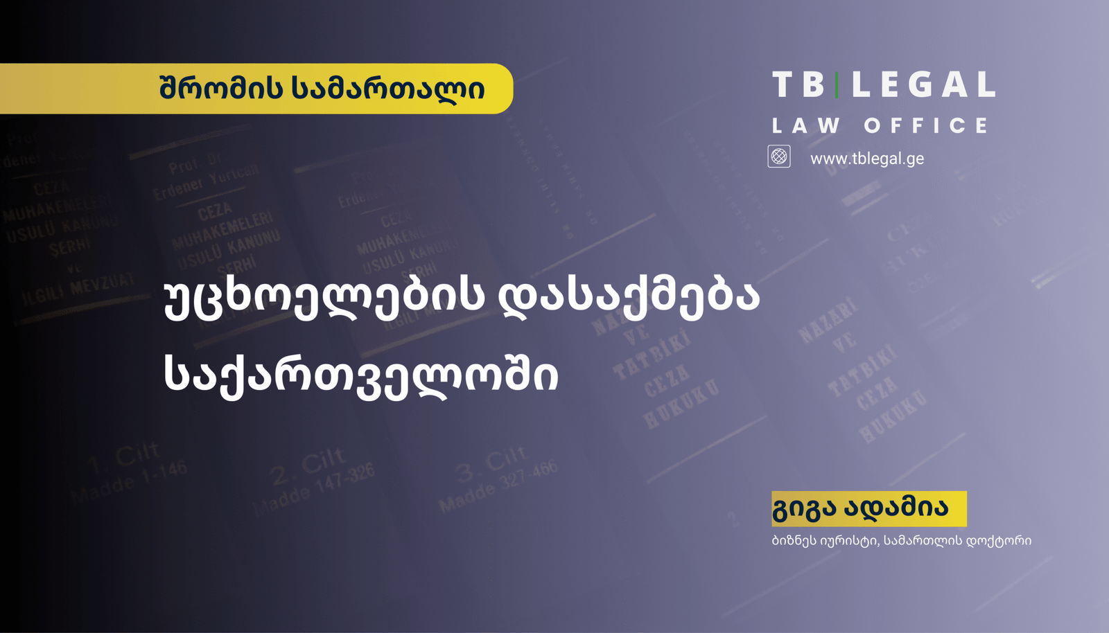 უცხოელების დასაქმება საქართველოში – სამართლებრივი ჩარჩო და პრაქტიკული ნაბიჯები დამსაქმებლისთვის.
გიგა ადამია | ბიზნეს იურისტი