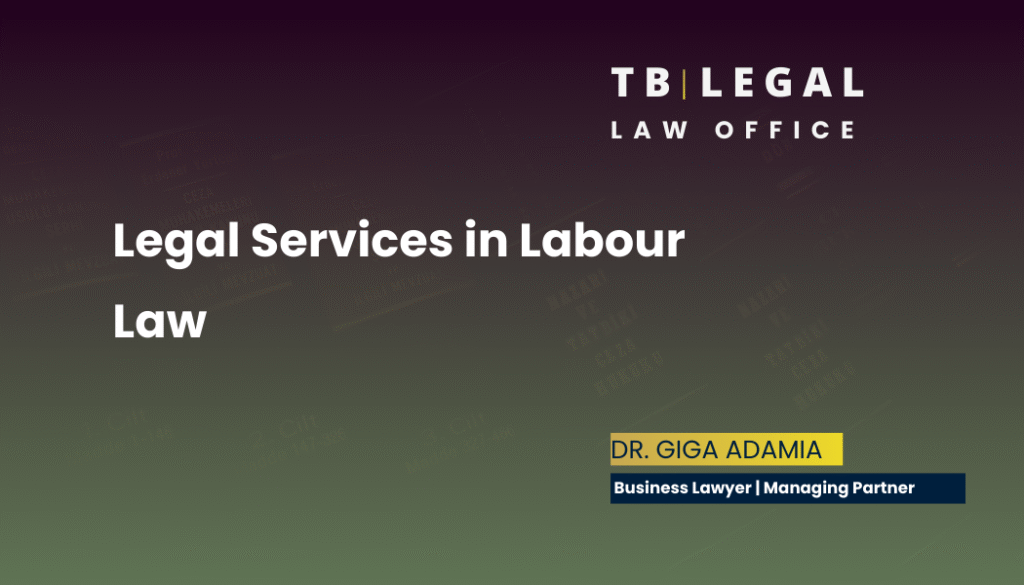 Legal services in labour law – employment contracts and workplace legal compliance | Giga Adamia, Business Lawyer in Georgia