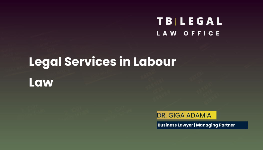 Legal services in labour law – employment contracts and workplace legal compliance | Giga Adamia, Business Lawyer in Georgia
