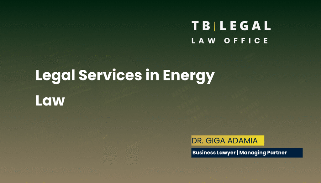 Legal services in energy law – regulatory compliance and energy market advisory | Giga Adamia, Business Lawyer in Georgia