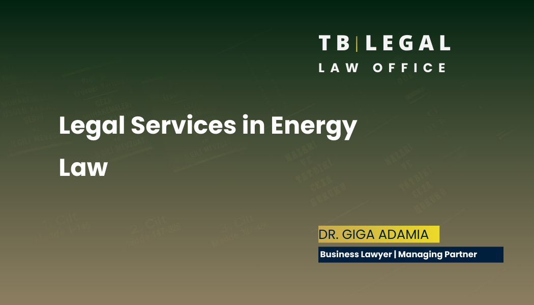 Legal services in energy law – regulatory compliance and energy market advisory | Giga Adamia, Business Lawyer in Georgia