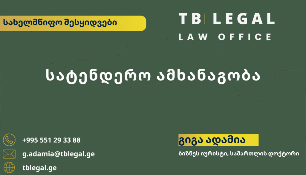 სატენდერო ამხანაგობა – გიგა ადამია და TB Legal-ის იურიდიული მომსახურება სახელმწიფო შესყიდვებისა და ერთობლივი მონაწილეობის საკითხებზე