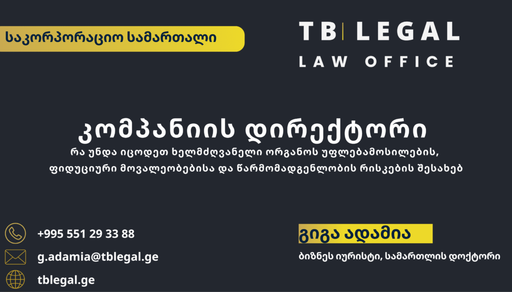 კომპანიის დირექტორი – გიგა ადამია და TB Legal-ის იურიდიული მომსახურება საკორპორაციო სამართლისა და კორპორაციული მართვის საკითხებზე