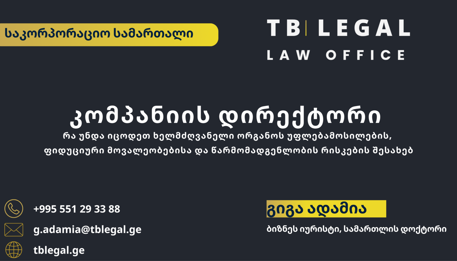 კომპანიის დირექტორი – გიგა ადამია და TB Legal-ის იურიდიული მომსახურება საკორპორაციო სამართლისა და კორპორაციული მართვის საკითხებზე
