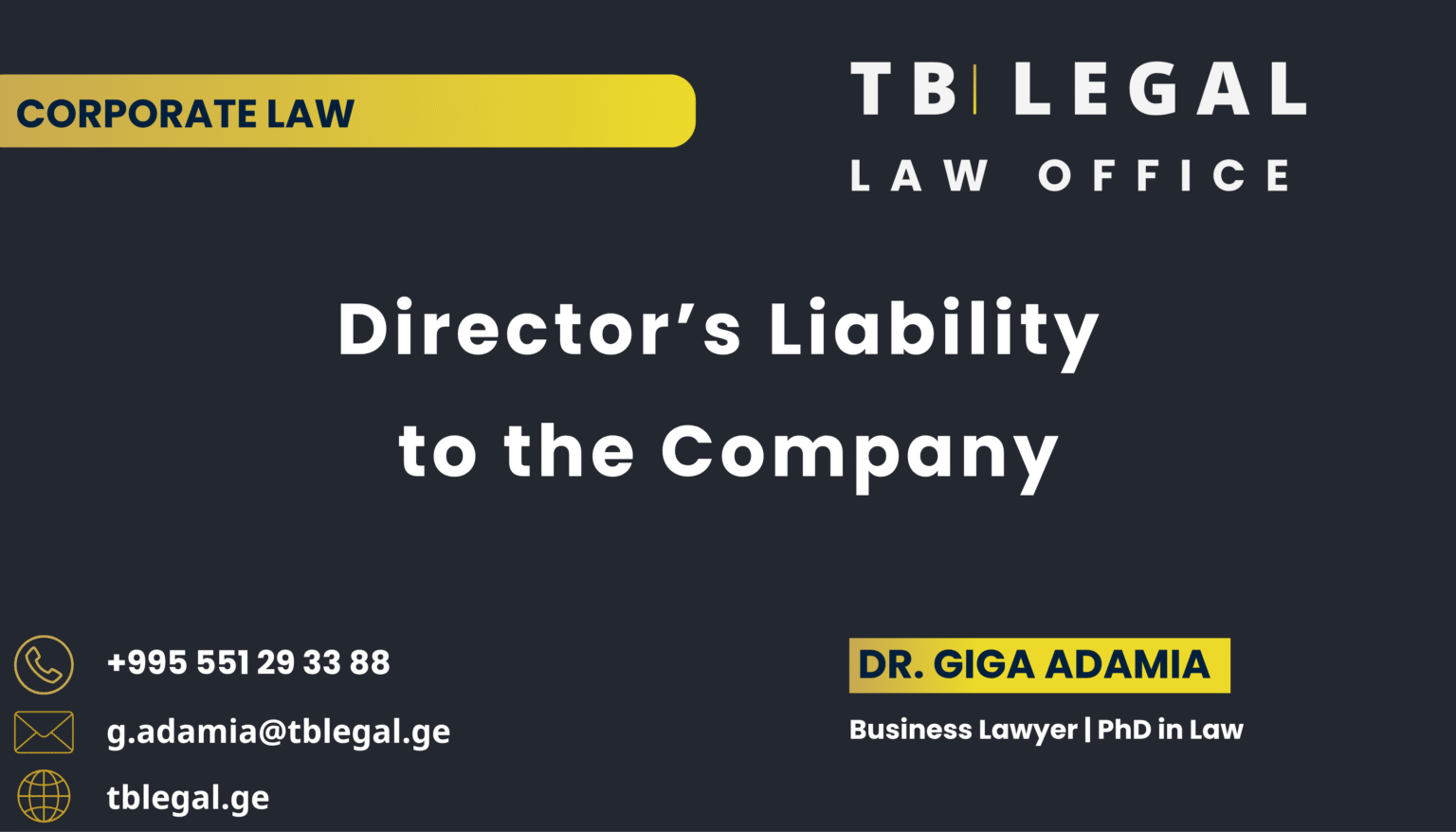 Director’s Liability to the Company in Georgia – legal services by Dr. Giga Adamia and TB Legal for corporate governance and directors’ duties
