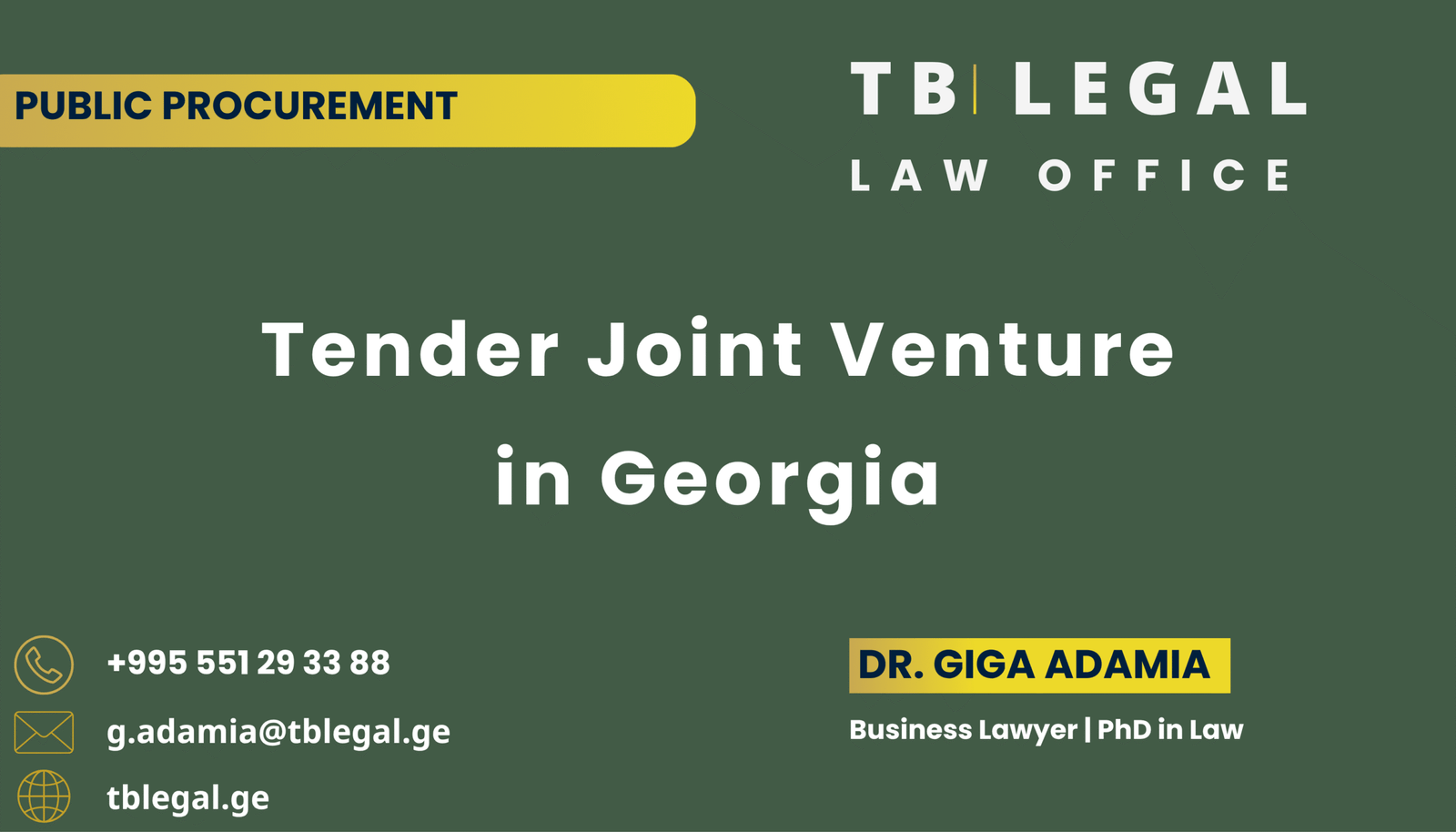 Tender Joint Venture in Georgia - legal services by Dr. Giga Adamia and TB Legal for public procurement joint ventures and tender participation