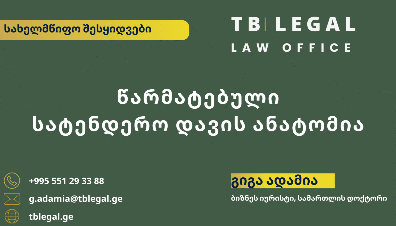 ტენდერის გასაჩივრება – გიგა ადამია და TB Legal-ის იურიდიული მომსახურება სახელმწიფო შესყიდვებისა და სატენდერო დავების მიმართულებით