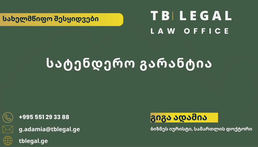 სატენდერო გარანტი – გიგა ადამია და TB Legal-ის იურიდიული მომსახურება სახელმწიფო შესყიდვებისა და სატენდერო სამართლის საკითხებზე