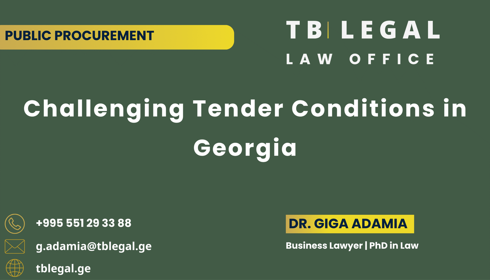 Challenging tender conditions in Georgia involving public procurement, bidder disqualification risks and tender documentation review.