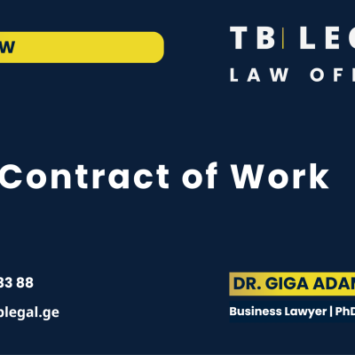 Contract of work in Georgia covering performance, remuneration, termination and dispute risks.