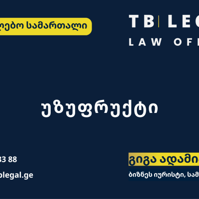 უზუფრუქტი უძრავ ქონებაზე, მესაკუთრისა და უზუფრუქტუარის უფლებები და ვალდებულებები