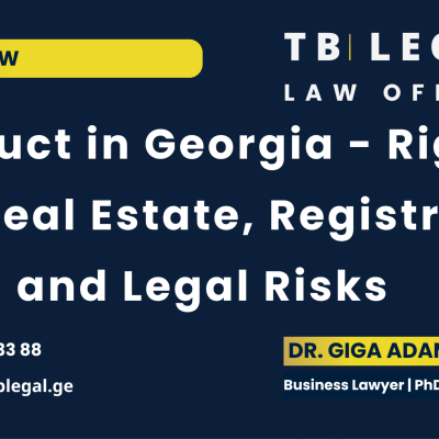 Usufruct in Georgia involving the right to use real estate, Public Registry registration and legal risks for buyers and owners.