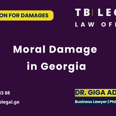 Moral damage in Georgia involving non-material damage, burden of proof and reasonable compensation.