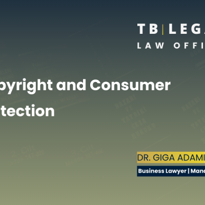 Copyright and consumer protection rules play a key role in protecting creative works and ensuring fair commercial practices.