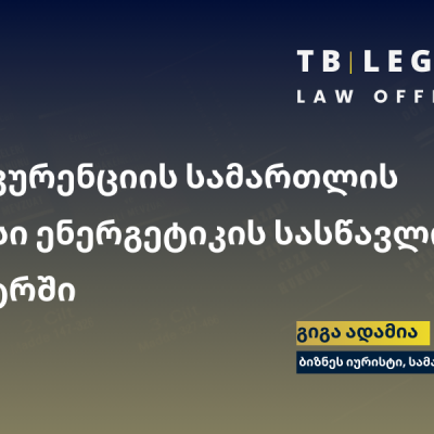 ენერგეტიკის სასწავლო ცენტრში კონკურენციის სამართლის ორთვიანი კურსი ჩატარდება.