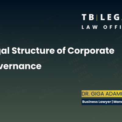 Corporate Governance Legal Services in Georgia