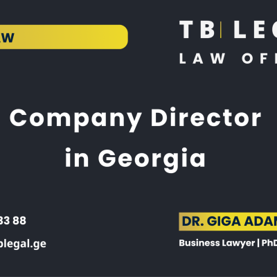 Company Director in Georgia – legal services by Dr. Giga Adamia and TB Legal for corporate governance, directors’ duties, and company management matters