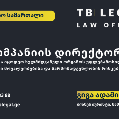 კომპანიის დირექტორი – გიგა ადამია და TB Legal-ის იურიდიული მომსახურება საკორპორაციო სამართლისა და კორპორაციული მართვის საკითხებზე
