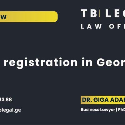 LLC Registration in Georgia – legal services by Dr. Giga Adamia and TB Legal for company formation and corporate law matters