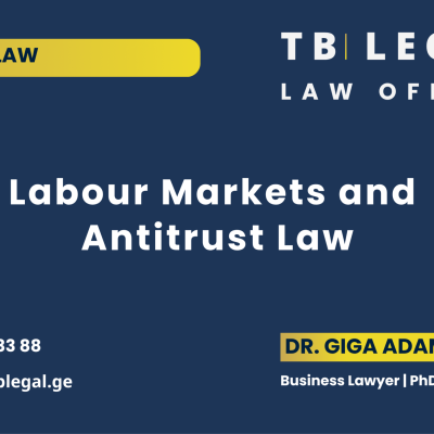 Labour Markets and Antitrust Law – legal insights by Dr. Giga Adamia and TB Legal on competition law, labour markets, and antitrust enforcement