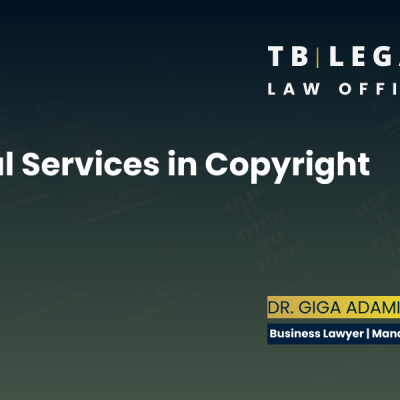 Legal services in copyright law protecting creative works and intellectual property rights in Georgia.
Giga Adamia | Business Lawyer in Georgia