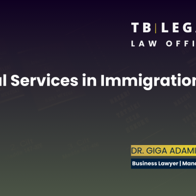 Legal services in immigration law supporting individuals and businesses with residence and immigration procedures in Georgia.
Giga Adamia | Business Lawyer in Georgia