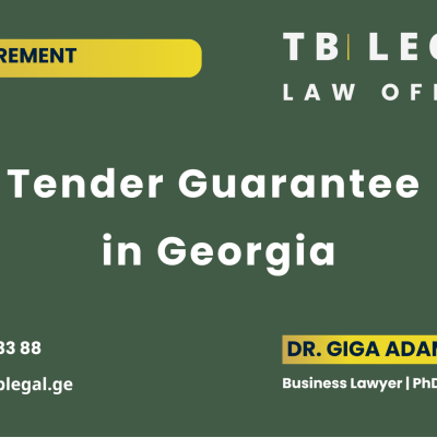 Tender Guarantee in Georgia – legal services by Dr. Giga Adamia and TB Legal for public procurement and tender participation matters