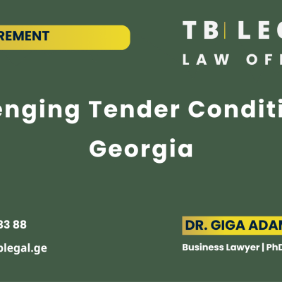 Challenging tender conditions in Georgia involving public procurement, bidder disqualification risks and tender documentation review.