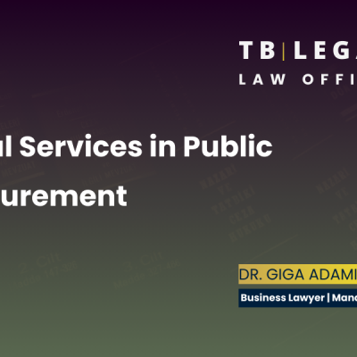 Legal services in public procurement supporting businesses in tender participation and procurement disputes.
Giga Adamia | Business Lawyer in Georgia