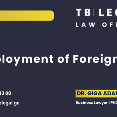 Employment of Foreigners in Georgia – legal services by Dr. Giga Adamia and TB Legal for employment and immigration law matters