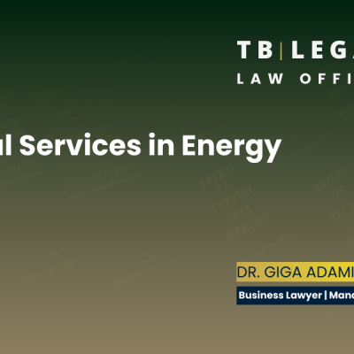 Legal services in energy law supporting companies in navigating regulation and energy market rules in Georgia.
Giga Adamia | Business Lawyer in Georgia