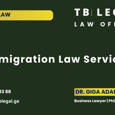 Immigration Law Services in Georgia – legal services by Dr. Giga Adamia and TB Legal for residence permits, visas, and immigration matters