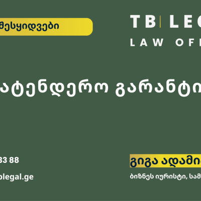 სატენდერო გარანტი – გიგა ადამია და TB Legal-ის იურიდიული მომსახურება სახელმწიფო შესყიდვებისა და სატენდერო სამართლის საკითხებზე