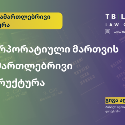 კორპორატიული მართვის სამართლებრივი სტრუქტურის ჩამოყალიბება – ძლიერი კომპანია იწყება სწორი მმართველობით.
გიგა ადამია | ბიზნეს იურისტი