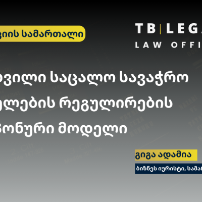 მსხვილი საცალო სავაჭრო ქსელების რეგულირება – კონკურენციის დაცვა და ბაზრის ბალანსი.
გიგა ადამია | ბიზნეს იურისტი

Regulation of Large Retail Chains – Protecting competition and market balance.
Giga Adamia | Business Lawyer