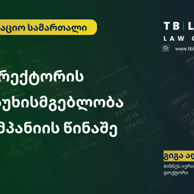 დირექტორის პასუხისმგებლობა კომპანიის წინაშე – როდის აგებს დირექტორი პირადად პასუხს?
გიგა ადამია | ბიზნეს იურისტი